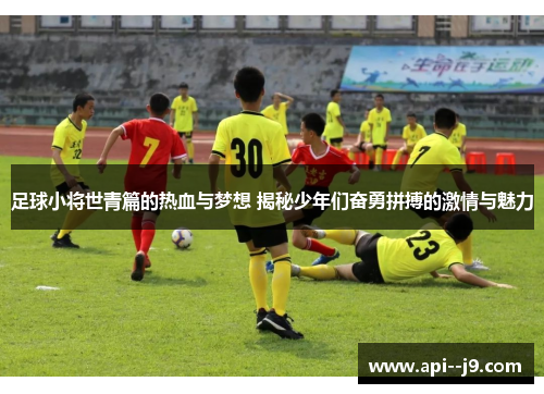 足球小将世青篇的热血与梦想 揭秘少年们奋勇拼搏的激情与魅力