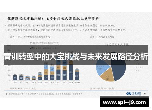 青训转型中的大宝挑战与未来发展路径分析