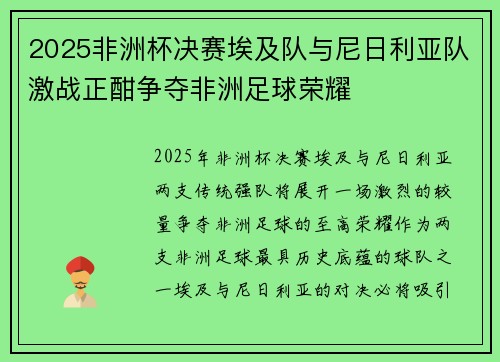 2025非洲杯决赛埃及队与尼日利亚队激战正酣争夺非洲足球荣耀